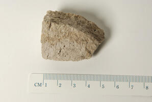 Pumice