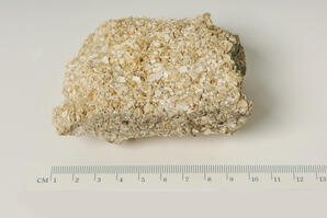 Limestone (shell)