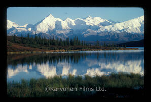 Mount McKinley scenic