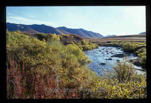 Ogilvie Mountain scenic