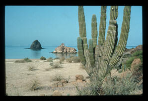 Baja California Scenic