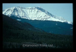 Sheep River area scenic