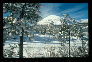 Summit Mountain Scenic