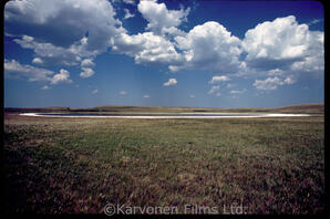 Prairie scenic