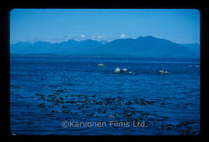 Pacific Ocean scenic