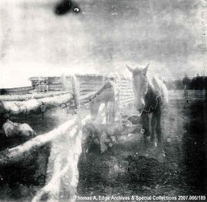 Two horses standing by a trough on a farm, [Alberta].