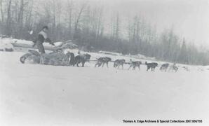 One woman with a dog sled, [Alberta].