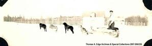One man with a four team dog sled. There is a house or shed behind him. It is winter but he is wearing only a long-sleeved shirt, [Alberta].