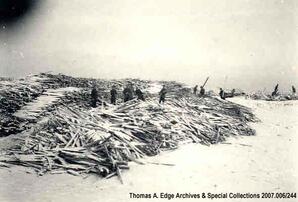 Many people standing on top of a large pile of snow covered logs, [Alberta].