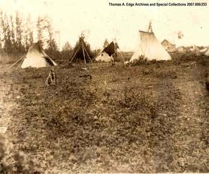 A grouping of four teepees with a building and boats in the background and one dog in the foreground, [Alberta].