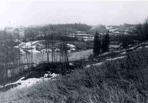A view of the flooding Whitemud Creek, Sherwood Park, Alberta. Image shot by Albert Karvonen.