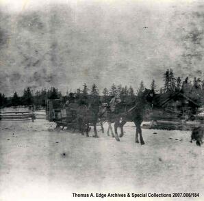 Horse-drawn sleigh, [Alberta].