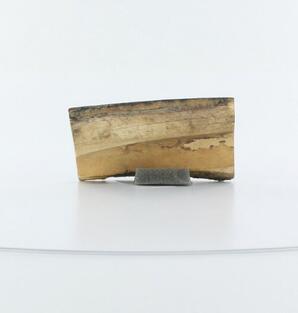 Fossilized ivory