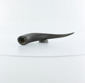 Horn