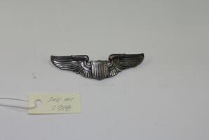 Pilot's wings