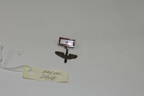 Pilot's wings