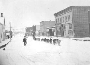 Dog Sled Team