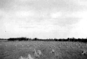 Leon Saudet's Farm