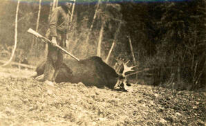 Ernst Feuereisen with Moose Carcass