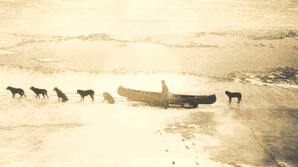 Dog Team - 07