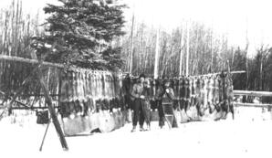 C.B. Olson and Johnson of Saulteaux (Soto Landing), Alberta