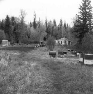 Upper Wells, AB - 03