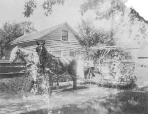 A Farmyard