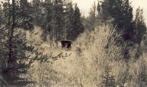 Log Cabin