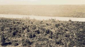 Athabasca River - 02