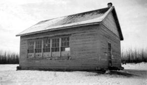 Nelson School District No. 4814