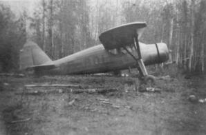 Fairchild 24