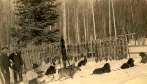 Three Men with a Dog Team