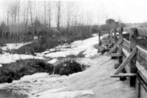 Muskeg Creek - 02