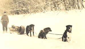 Ernst Feuereisen with Dog Team