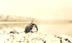Athabasca River - 16