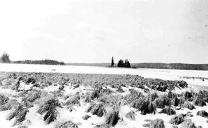 Island Lake, AB