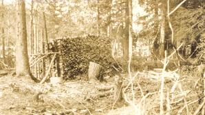 Woodpile