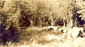 Hunting - 02