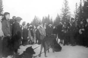 Dog Team - 03