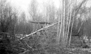 Brush Cutter