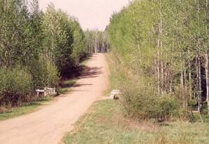 Trail North Foundation - 02