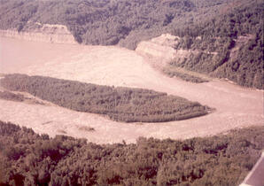 Athabasca River - 25