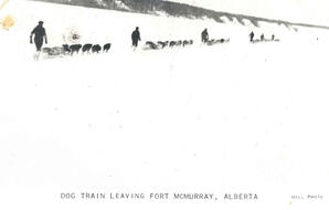 Dog Train Leaving Fort McMurray, Alberta