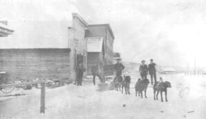 Dog Team - 04