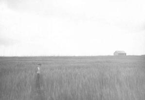 Louis Menard's Wheat Field