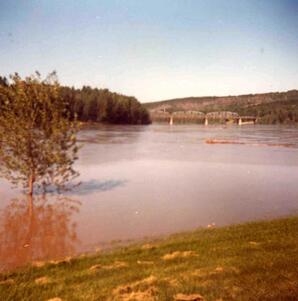 Flood - 10