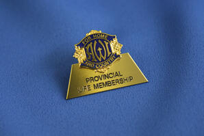 Life Membership Pin
