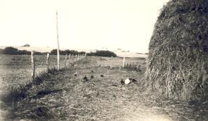 Farm of John Irwin Jameson Sr. - 02