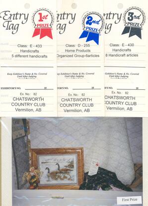 Entries at the Vermilion Fair - 01