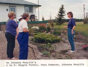 At Johanna Wasylik's